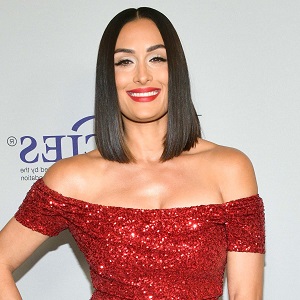 celebrity Nikki Bella